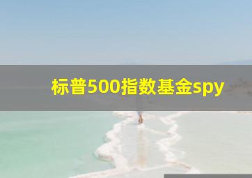 标普500指数基金spy