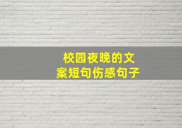 校园夜晚的文案短句伤感句子