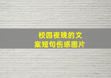 校园夜晚的文案短句伤感图片