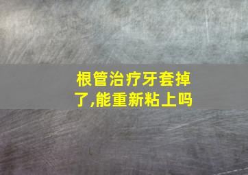 根管治疗牙套掉了,能重新粘上吗