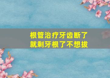 根管治疗牙齿断了就剩牙根了不想拔