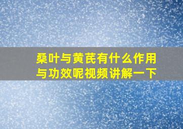 桑叶与黄芪有什么作用与功效呢视频讲解一下