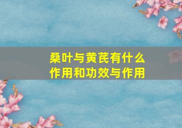 桑叶与黄芪有什么作用和功效与作用