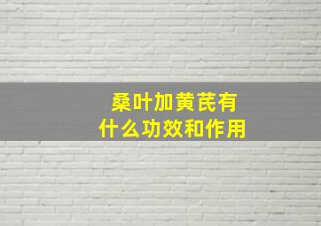 桑叶加黄芪有什么功效和作用