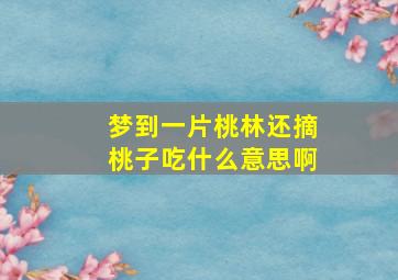 梦到一片桃林还摘桃子吃什么意思啊