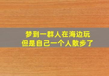 梦到一群人在海边玩但是自己一个人散步了