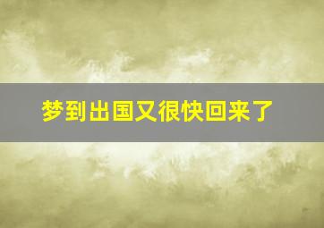 梦到出国又很快回来了