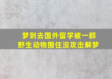 梦到去国外留学被一群野生动物围住没攻击解梦