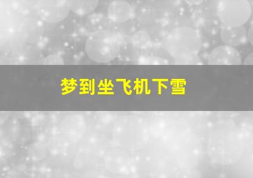 梦到坐飞机下雪