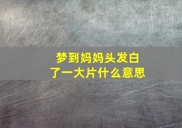 梦到妈妈头发白了一大片什么意思