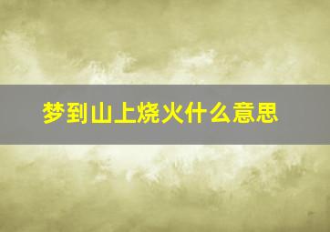 梦到山上烧火什么意思