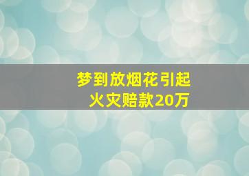 梦到放烟花引起火灾赔款20万