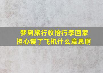 梦到旅行收拾行李回家担心误了飞机什么意思啊