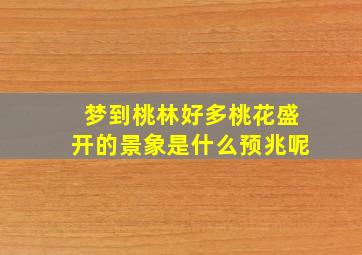 梦到桃林好多桃花盛开的景象是什么预兆呢