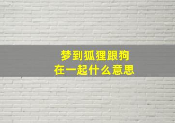 梦到狐狸跟狗在一起什么意思