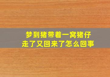 梦到猪带着一窝猪仔走了又回来了怎么回事