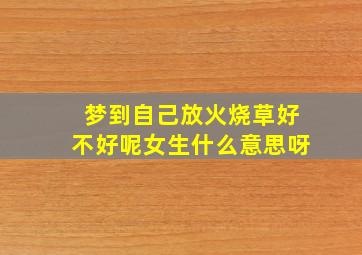 梦到自己放火烧草好不好呢女生什么意思呀