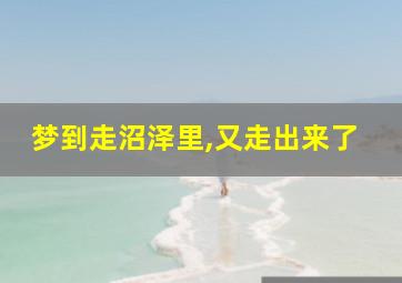 梦到走沼泽里,又走出来了