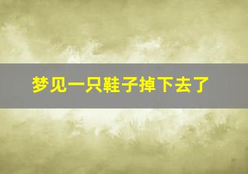 梦见一只鞋子掉下去了