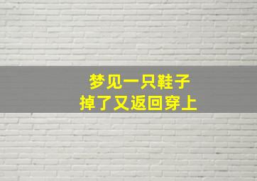 梦见一只鞋子掉了又返回穿上