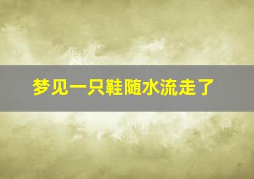 梦见一只鞋随水流走了