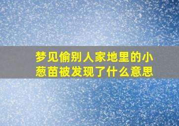 梦见偷别人家地里的小葱苗被发现了什么意思