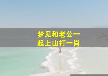 梦见和老公一起上山打一肖