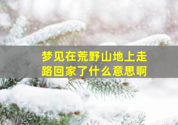 梦见在荒野山地上走路回家了什么意思啊