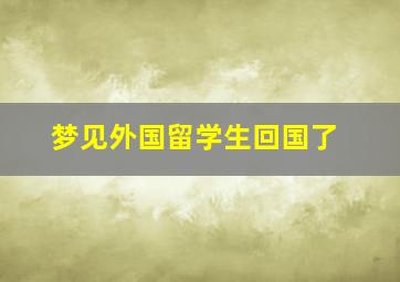 梦见外国留学生回国了