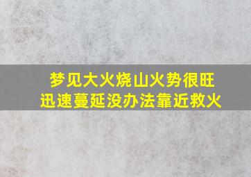 梦见大火烧山火势很旺迅速蔓延没办法靠近救火