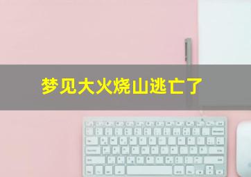 梦见大火烧山逃亡了