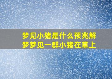 梦见小猪是什么预兆解梦梦见一群小猪在草上