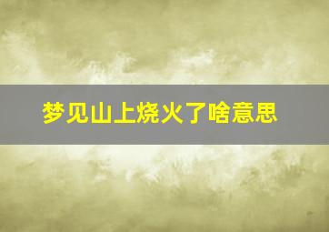 梦见山上烧火了啥意思