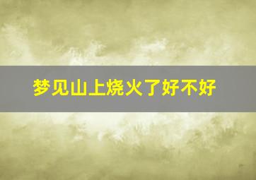 梦见山上烧火了好不好