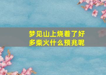 梦见山上烧着了好多柴火什么预兆呢