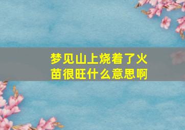 梦见山上烧着了火苗很旺什么意思啊