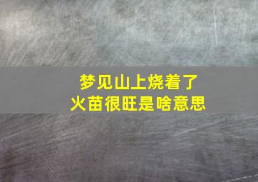 梦见山上烧着了火苗很旺是啥意思