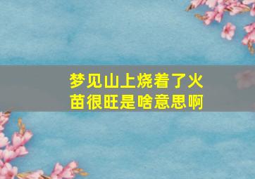 梦见山上烧着了火苗很旺是啥意思啊