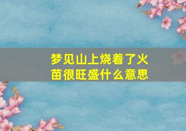 梦见山上烧着了火苗很旺盛什么意思