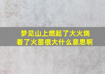 梦见山上燃起了大火烧着了火苗很大什么意思啊