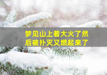 梦见山上着大火了然后被扑灭又燃起来了