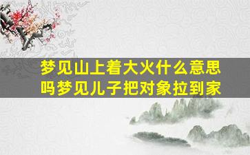 梦见山上着大火什么意思吗梦见儿子把对象拉到家