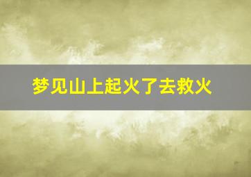 梦见山上起火了去救火