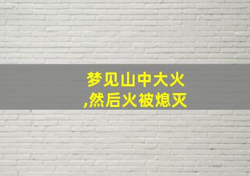 梦见山中大火,然后火被熄灭