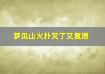 梦见山火扑灭了又复燃