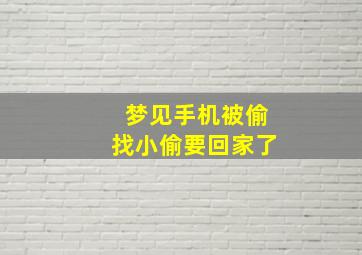 梦见手机被偷找小偷要回家了