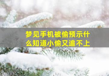 梦见手机被偷预示什么知道小偷又追不上