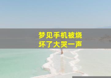 梦见手机被烧坏了大哭一声