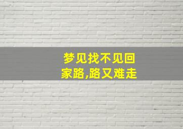 梦见找不见回家路,路又难走