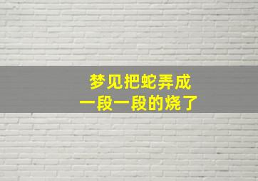 梦见把蛇弄成一段一段的烧了